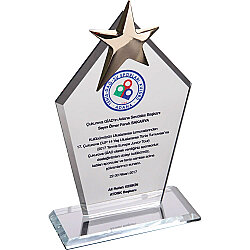 Ekt-170-şf Kristal Plaket Şeffaf 12 x 21 Cm - 