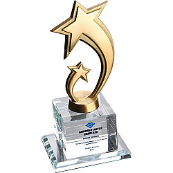 Ekt-230 Kristal Plaket 10 x 20 Cm - 