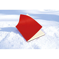 Erciyes-t Tarihsiz Defter Turuncu 14 x 21 Cm - 2