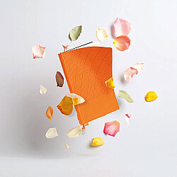 İstinye-t Tarihsiz Defter Turuncu 15,5 x 21,5 Cm - 3