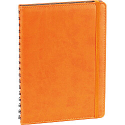 Kp-25-t Gizli Spiralli Ajanda Kapağı Turuncu 17 x 24 Cm - 